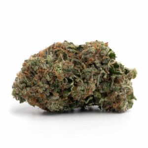 Buy OG Kush Weed Strain Online In Malaysia